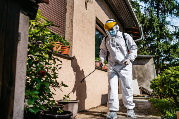 Best Cockroach Control Services  in Travilah, MD