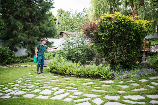 Best Pest Inspection Near Me  in Travilah, MD