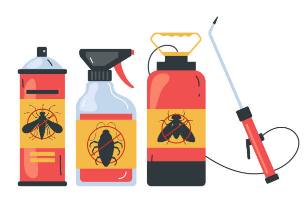 Best Termite Control Services  in Travilah, MD
