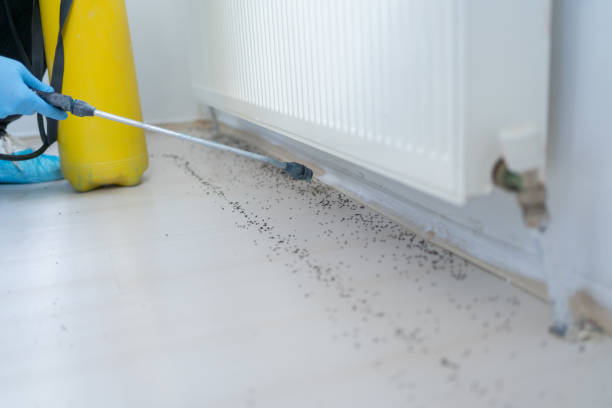 Pest Control for Restaurants in Travilah, MD