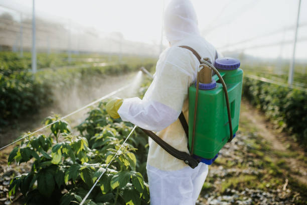Best Pest Prevention Services  in Travilah, MD